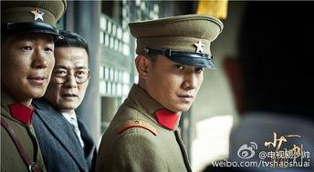 在线观看少帅,传奇人生与时代风云的交织